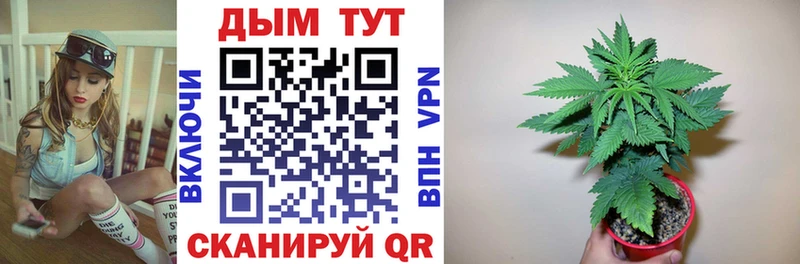 Купить закладку Бошки Шишки  Меф  Кокаин  Галлюциногенные грибы  ГАШИШ  Ипатово