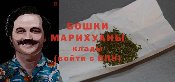 амф Костерёво