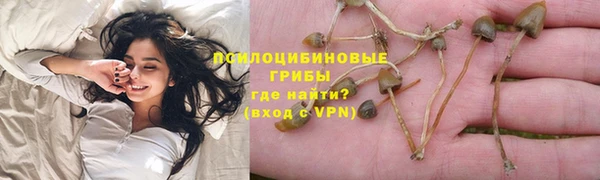 амф Костерёво