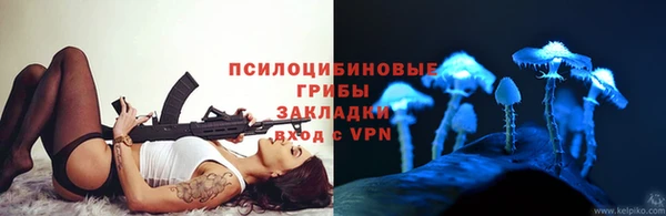 амф Костерёво